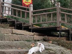-采石矶景区