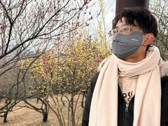 -香雪海