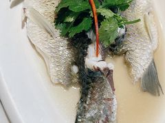 -九记路边鸡(穗盐路店)
