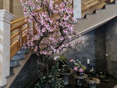 -纽斯洗浴SPA(三墩店)