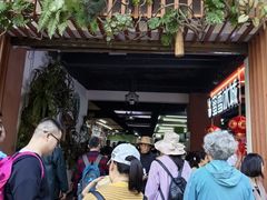 -西双版纳原始森林公园