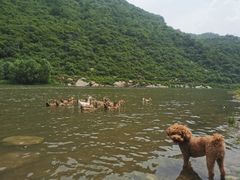 -白河湾生态旅游一条川