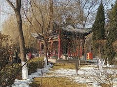 -金城公园