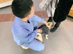 -联合动物医院(光谷诊疗中心)
