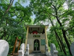 -南京老山国家森林公园