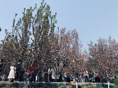 -元大都城垣遗址公园