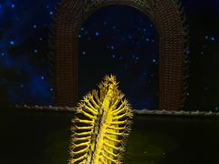 -交通银行前滩31演艺中心