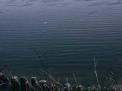 -三垟湿地