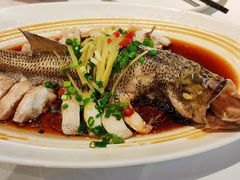 清蒸鲈鱼-眉州东坡(华联万柳店)