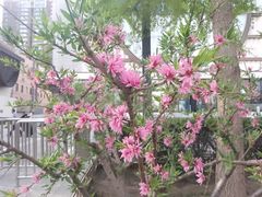 -瑞幸咖啡(东海中心店)