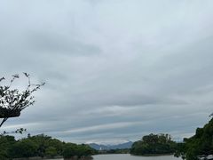 -江心屿景区