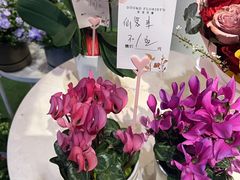 -豆豆花艺(新光天地店)