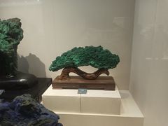 -安徽省地质博物馆