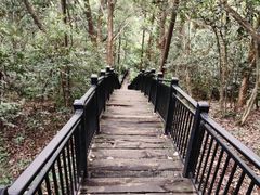 -杭州半山国家森林公园