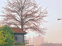 -喜洲吧·江畔老船厂·庭院餐厅(喜临院店)