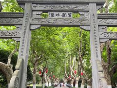 -杭州黄龙洞