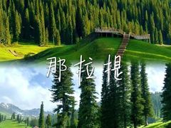 -赛里木湖风景名胜区
