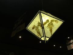 灯饰-云海肴·汽锅鸡·云南菜(天津国金汇店)