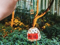 -杭州黄龙洞