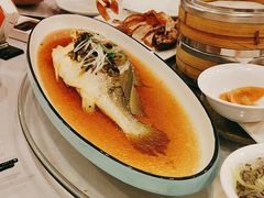 -全聚德(上海首店浦东店)