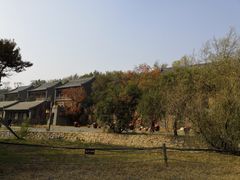 景点-爱新觉罗皇家博物院