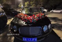 -蚂蚁婚车