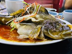 青岛黄鱼-鲜小岛·铜锅涮肉