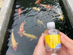 -西安市广仁寺