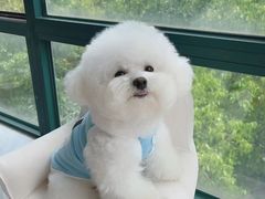-创凡宠物医院·骨专科  猫科中心(西乡分院)