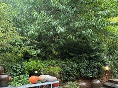 -看见远方·莫干遥远的山民宿