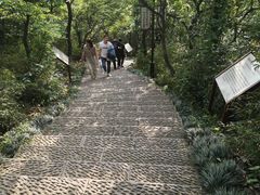 -杭州半山国家森林公园