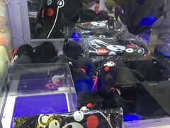-天天玩X秋葉原日系动漫游戏中心