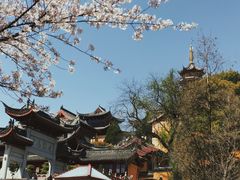 -鸡鸣赐茶(鸡鸣寺路店)