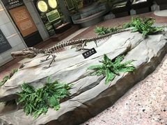 -自贡恐龙博物馆