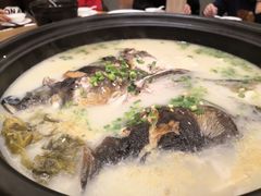-新悦·霞浦海鲜生(上下杭店)
