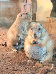 -Zoolung Zoolung动物主题公园(海信广场店)