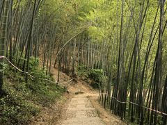 -西湖风景区十里琅珰-五云山