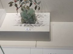-镇江博物馆