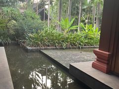 -西双版纳洲际度假酒店兰吧