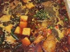 -扶摇树下·椒麻鲜活虾(石家庄勒泰广场店)