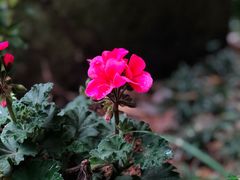 -宁波市保国寺古建筑博物馆