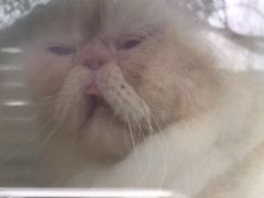 -爱贝口腔·牙周诊疗·种植修复中心