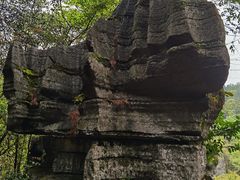 -梭布垭石林景区