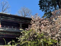 -潭柘寺景区