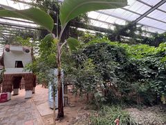 -呀路古热带植物园