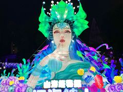 -海合安武汉极地海洋公园