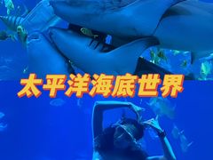 -太平洋海底世界