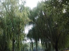 -康庄公园