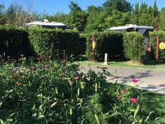 -崇明东平国家森林公园烧烤房车露营地