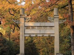 -灵谷景区